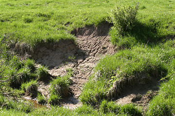 Image showing Soil Erosion 3