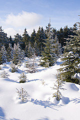 Image showing fresh snow in the mountains