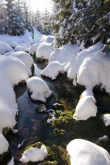 Image showing frozen stream