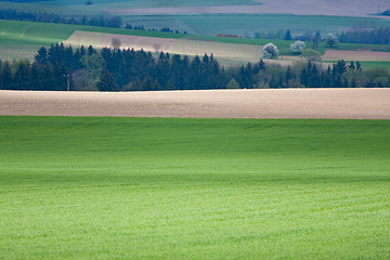 Image showing green field