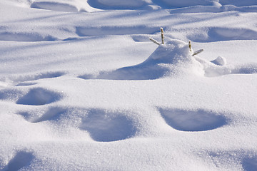 Image showing fresh snow in the mountains