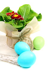 Image showing Easter still life with primroses.