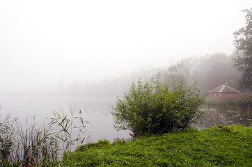 Image showing Mystic lake fog green coastal flora and small hut 