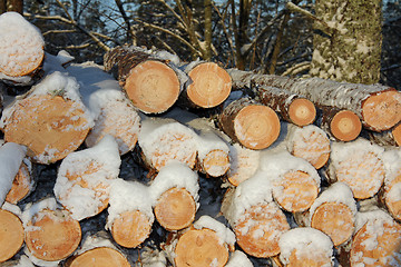 Image showing Pile of wooden logs in winter snow