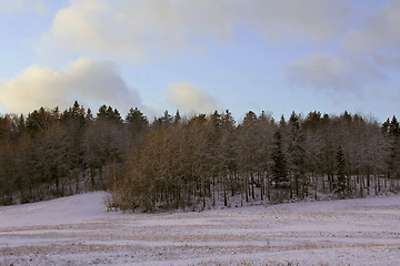 Image showing Rural landscape in winter dusk