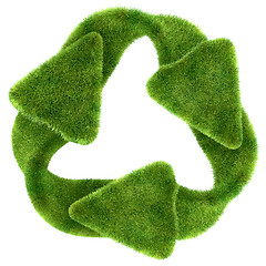 Image showing Ecological sustainability: green grass recycling symbol