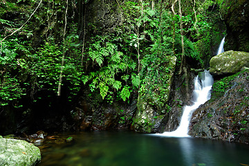 Image showing cascade in forest