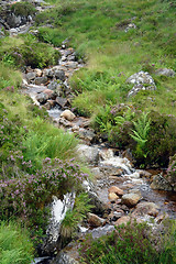 Image showing small stream with pebbles