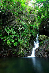 Image showing cascade in forest