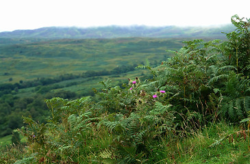 Image showing scottish panoramic scenery