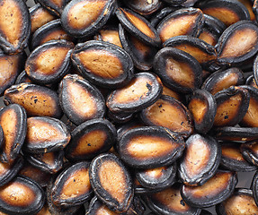 Image showing black melon seed