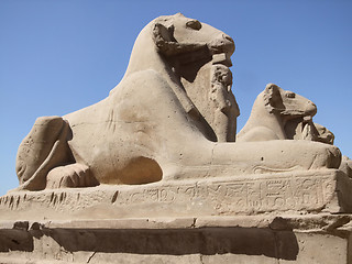 Image showing Sphinxes in sunny ambiance