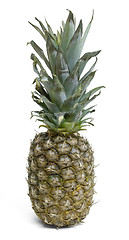 Image showing pineapple fruit