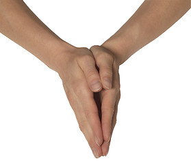 Image showing feminine hands