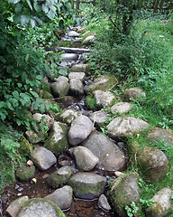 Image showing stream and pebbles