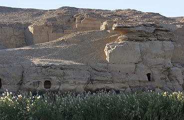 Image showing waterside Nile scenery