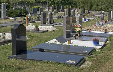 Image showing sunny illuminated jewish graveyard