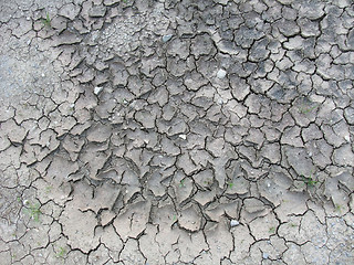 Image showing almost dry soil