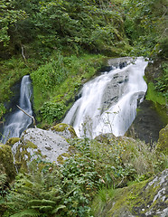 Image showing Triberg Waterfalls in green vegetation