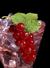 Image showing Redcurrant cocktail