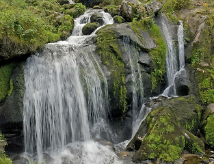 Image showing idyllic Triberg Waterfalls