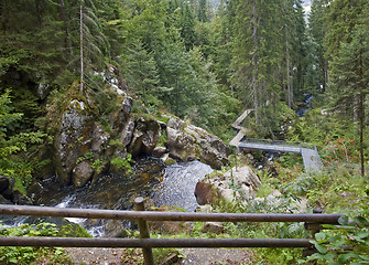 Image showing around Triberg Waterfalls at summer time