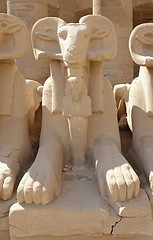 Image showing sculptures at Precinct of Amun-Re