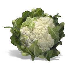 Image showing isolated cauliflower