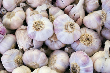 Image showing full frame garlic background