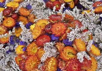 Image showing colorful dry flowers