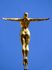 Image showing Gold naked woman