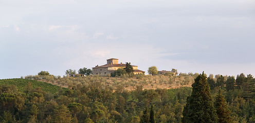 Image showing evening scenery near San Regolo in Chianti