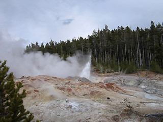 Image showing geyser in the Yellowstone National Park