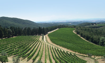 Image showing Chianti in Tuscany