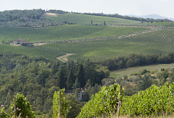 Image showing Chianti in Tuscany