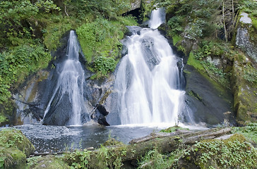 Image showing idyllic Triberg Waterfalls