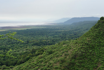 Image showing Lake Manyara National Park in Africa