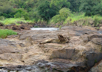 Image showing around Murchison Falls in Africa