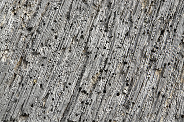 Image showing weathered porous wood detail