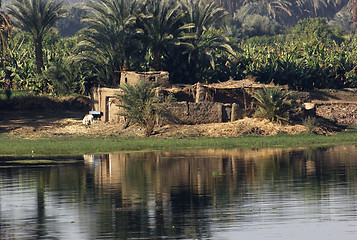 Image showing River Nile scenery between Aswan and Luxor