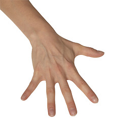 Image showing splayed feminine hand