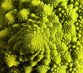 Image showing abstract romanesco cauliflower