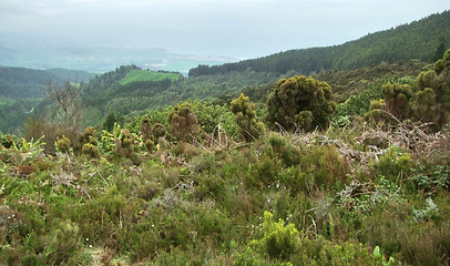 Image showing landscape at the Azores