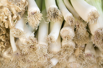 Image showing leek and celery detail