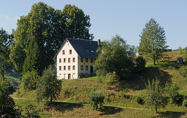 Image showing Black Forest scenery in sunny ambiance