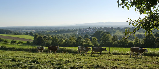 Image showing idyllic scenery around Emmendingen