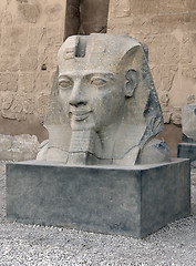 Image showing sculpture at Luxor Temple in Egypt