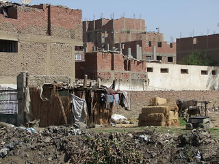 Image showing slum scenery roadside in Giza
