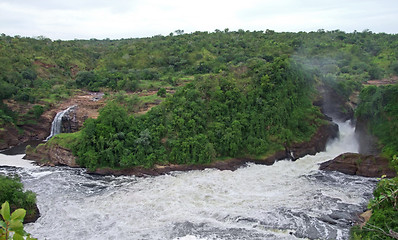 Image showing Murchison Fals in Africa