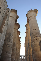 Image showing columns at Luxor Temple in Egypt